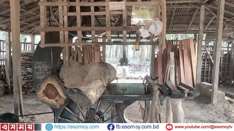 কুড়িগ্রামে ছ’মিলের করাতে দু'ভাগ শ্রমিকের দেহ।