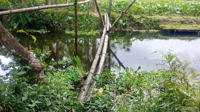 অযত্ন-অবহেলার অস্তিত্ব সংকটে নলছিটির সম্ভাবনাময় হাড়িখালি গ্র