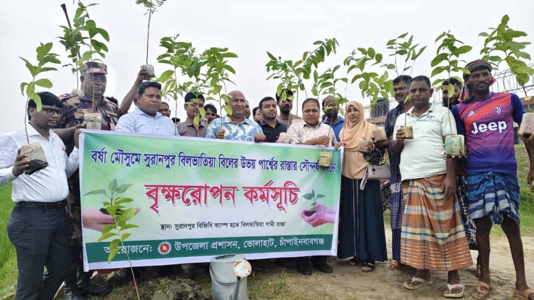 রাস্তার সৌন্দর্য বর্ধনে ভোলাহাট উপজেলা নির্বাহী অফিসারের গাছ