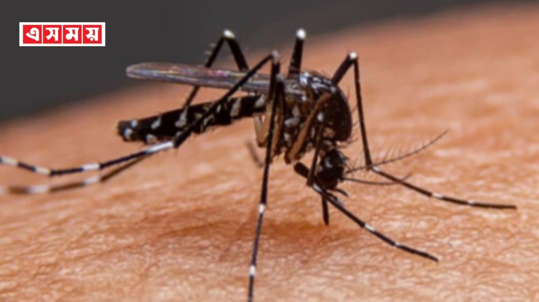 ডেঙ্গুতে একদিনে ৬ জনের মৃত্যু
