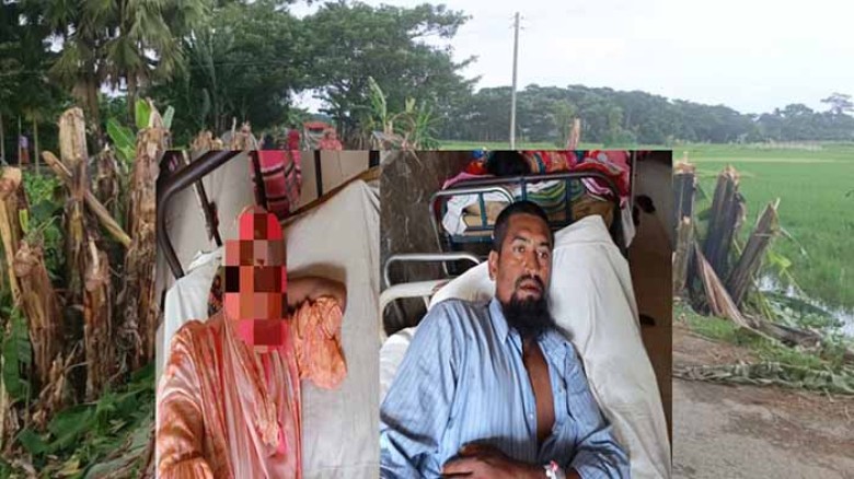 গলাচিপায় জমি বিরোধে হামলায় নারীসহ ৩জন আহত।