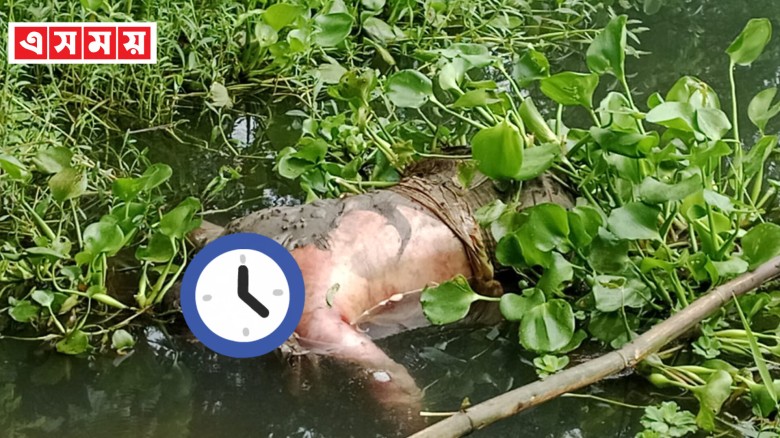 ঘিওরের খিরাই নদী থেকে ঈমামের অর্ধগলিত মরদেহ উদ্ধার