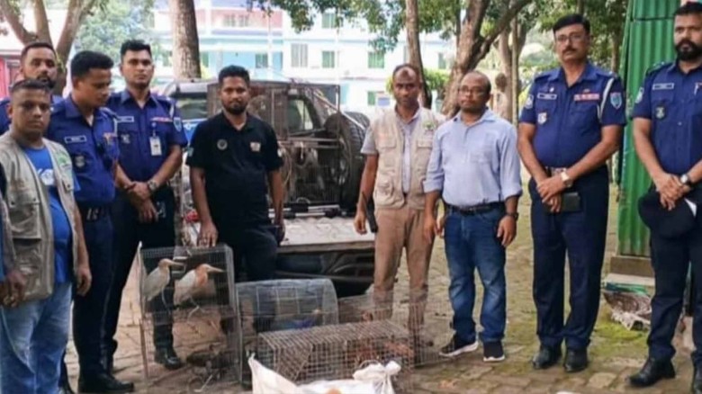 নড়াইলের অবৈধ চিড়িয়াখানা থেকে ২৫ বন্যপ্রাণী উদ্ধার।...