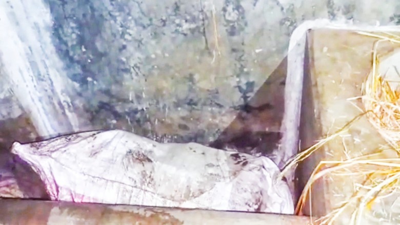 নিখোঁজের তিন দিন পর জয়পুরহাটের ক্ষেতলালে শিশুর বস্তাবন্দী লা