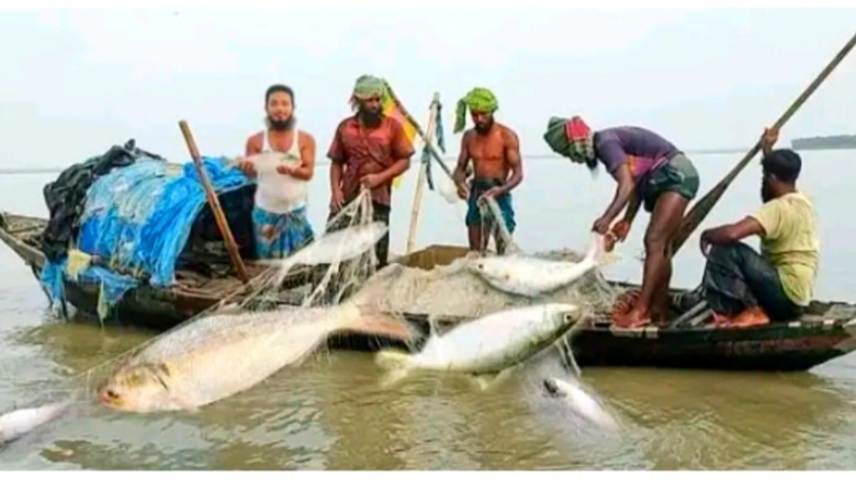 ৪ অক্টোবর থেকে ২৫ অক্টোবর পর্যন্ত ২২ দিন ইলিশ ধরা নিষিদ্ধ।...