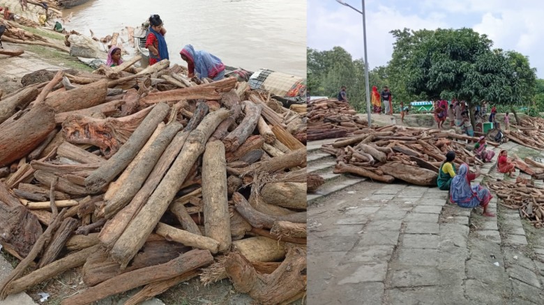 চিলমারীতে ভারত থেকে ভেসে আসা কাঠের সঙ্গে আসছে সাপও, আতঙ্কে ব্রহ্মপুত্র নদের মানুষ।...