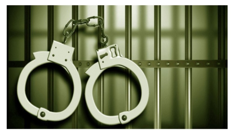 গোপালগঞ্জ থেকে ঢাকায় আসা ছাত্রলীগের ১১ নেতাকর্মী গ্রেফতার