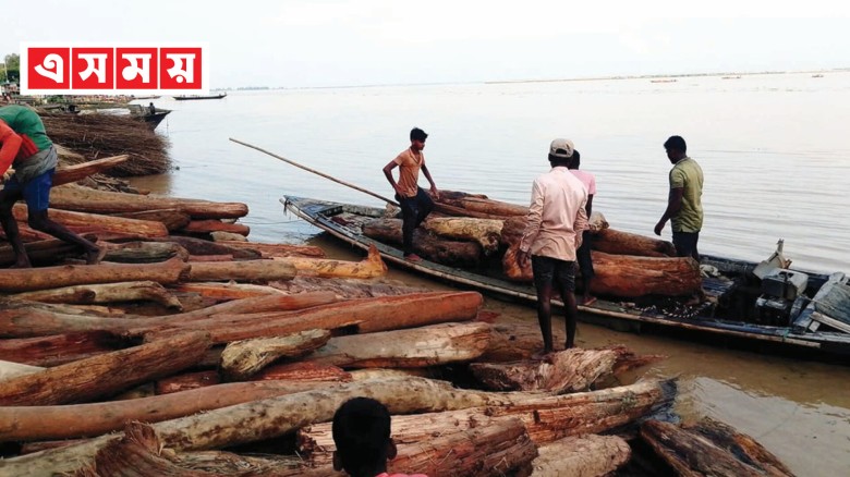 ভারত থেকে ভেসে আসা গুঁড়ি কুড়িগ্রামে ‘লাল চন্দন’ ভেবে বিক্র