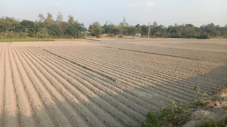 নীলফামারীতে ডিক্রীকৃত জমি জোরপূর্বক দখলে মারপিট কোর্টে মামলা