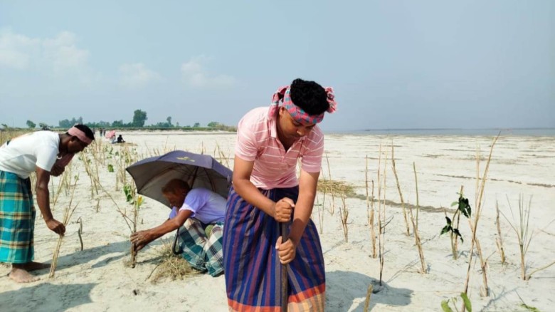 ব্রহ্মপুত্রের ভাঙন ঠেকাতে কুড়িগ্রামে 'প্রাকৃতিক বাঁধ'...