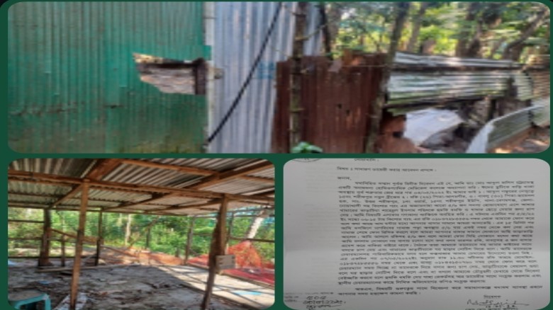 বেগমগঞ্জে আপন ভাইয়ের দ্বারা সন্ত্রাসী হামলার স্বীকার রাইসা পোল্ট্রি এন্ড এগ্রো ফার্ম ও তার মালিক...